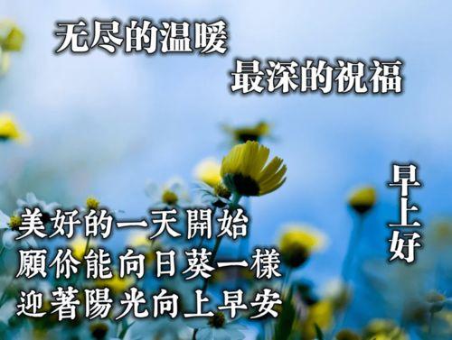 爆料早安问候语图片最新,网红爆款背后的故事
