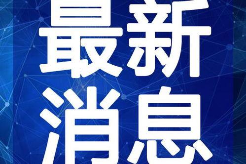 武汉咖啡馆爆料视频最新,揭秘城市角落的咖啡文化风云
