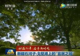 石河子最新爆料新闻视频,视频揭露惊人真相，引发社会关注