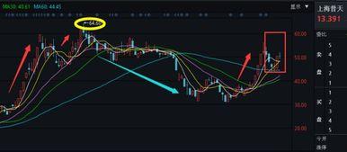 上海普天最新消息爆料,揭秘企业最新动态与战略布局